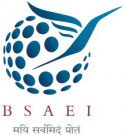 BSAEI logo